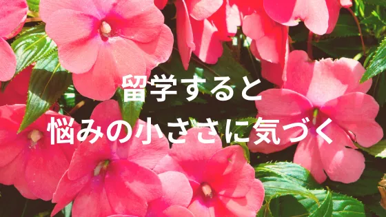 「悩んだ時は留学ってアホか?逃げて一時的に気分はスッキリするかもしれないけど悩みの根源は断てない」って思うじゃないですか? 違うんですよ。 ほとんどの悩みは根源なんてない気分的な問題なんですよ。 留学をすると新しい環境・習慣・出会いによって…