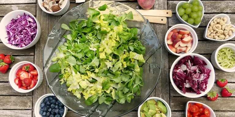 環境と調和の取れた食料システムの確立に向けたアプローチと戦略を紹介。持続可能な農業とリサイクル方法を通じて、より良い未来を目指す実践的なガイドです。
